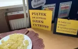 Zdjęcie do ŚWIĘTO CYTRYNY